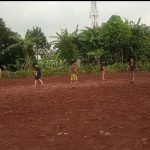 Bola