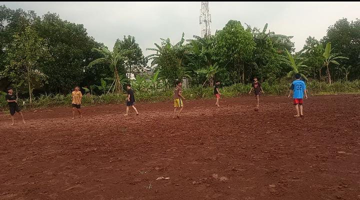 Bola