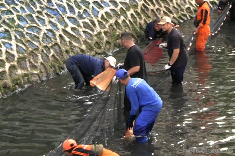 Pemprov DKI Bakal Intensifkan Pengerukan Sungai dan Pengendalian Ikan Sapu-Sapu