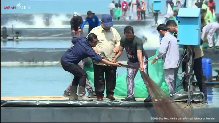 Prabowo Hadiri Panen Raya Udang di Kebumen, Ikut Tarik Jaring Bersama Penambak
