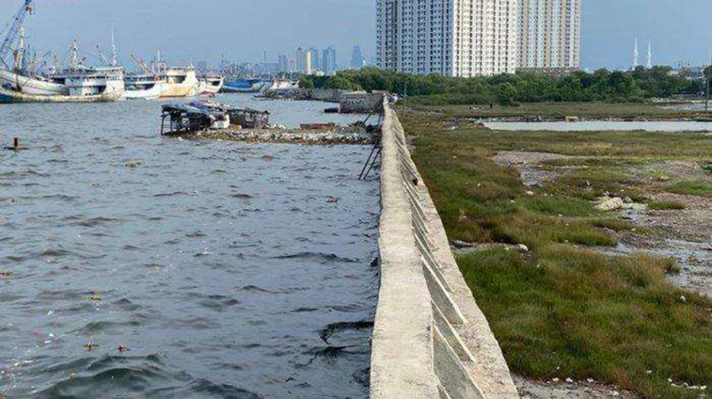 Thumbnail giant sea wall