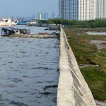 Thumbnail giant sea wall