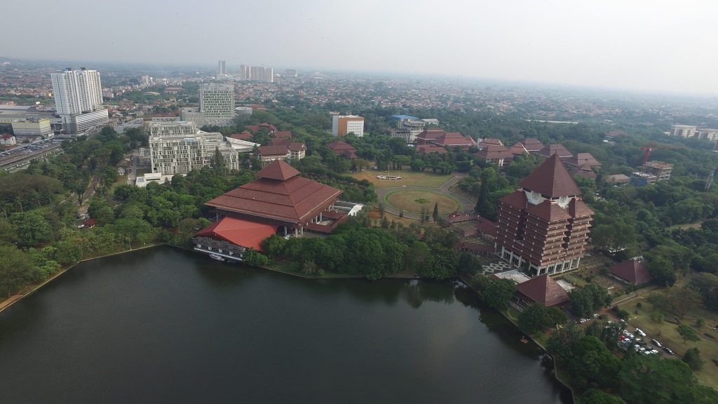 UNIVERSITAS INDONESIA