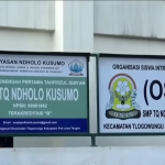 ponpse ndolo