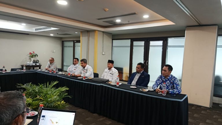 DPP Apitu Indonesia
