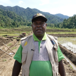 Pembukaan Sawah di Papua