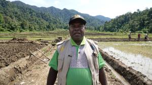 Pembukaan Sawah di Papua