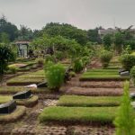 Foto Makam