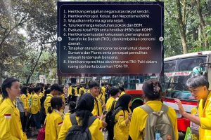 Bem UI kembali Demo