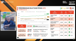 NTP Petani