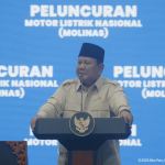 Peremsian Molis
