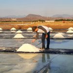 produksi-garam-nasional-capai-25-juta-ton65f94275a3ca9